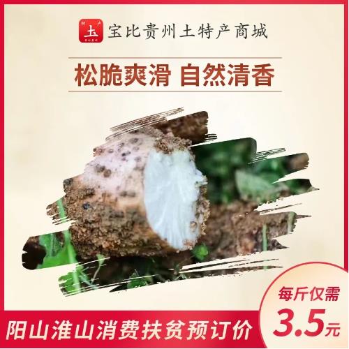 UI配色 (3).jpg